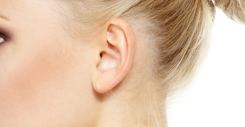 Ear - Kelly Bello Design