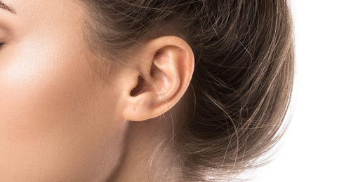 Ear - Kelly Bello Design