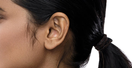 Ear - Kelly Bello Design