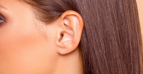 Ear - Kelly Bello Design