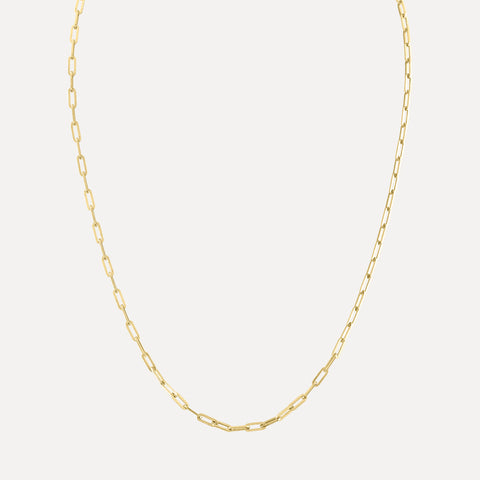 Thin Long Link Necklace