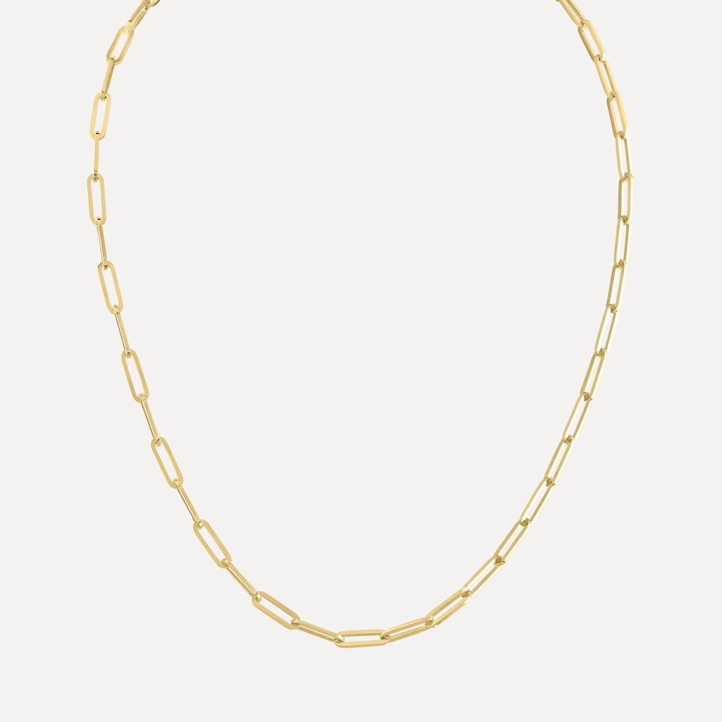 Long Link Necklace