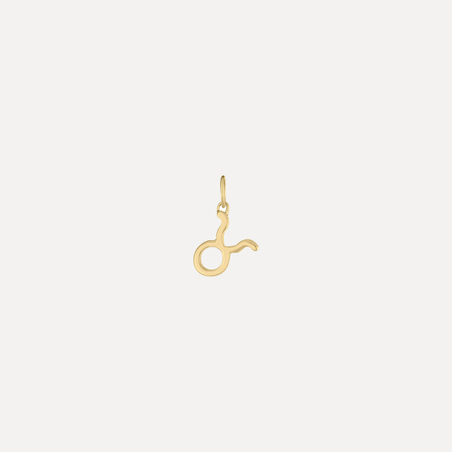 Mini Zodiac Sign - Forever Charm