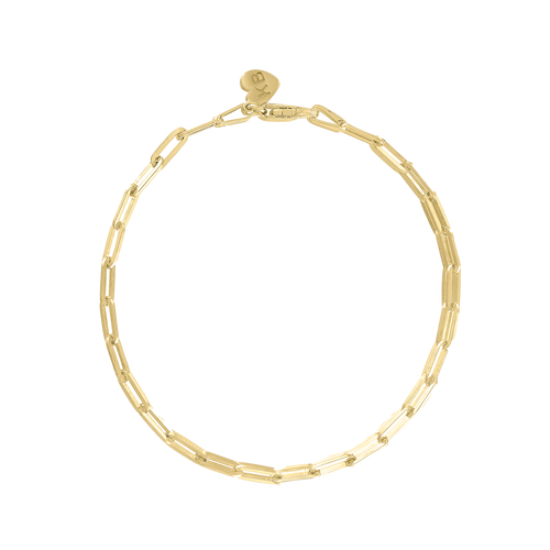 Thin Long Link Bracelet