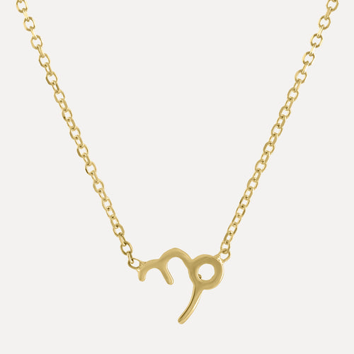 Mini Zodiac Necklace