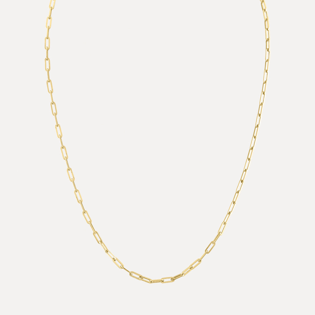 Thin Long Link Necklace